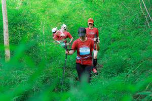 BIB: 
                            <button type="button" onclick="openModal(22096250)" class="btn btn-primary btn-sm float-right btn-popup" data-toggle="modal" data-target=".modal-high-quality">
                        <i class="fas fa-shopping-cart"></i> Add to Cart
                    </button>
                                            <button type="button" onclick="isThisMe(22096250, true)" class="btn btn-success btn-sm float-right btn-popup btn-isme hidden" data-toggle="tooltip" data-placement="bottom" title="นี่คือรูปของคุณใช่ไหม คลิกที่นี่เพื่อเอาเข้าอัลบั้ม">
                        <i class="fas fa-plus"></i> Add to album
                    </button>
                    <button type="button" onclick="isThisMe(22096250, false)" class="btn btn-warning btn-sm float-right btn-popup btn-isnotme hidden">
                        <i class="fas fa-ban"></i> Remove from album
                    </button>